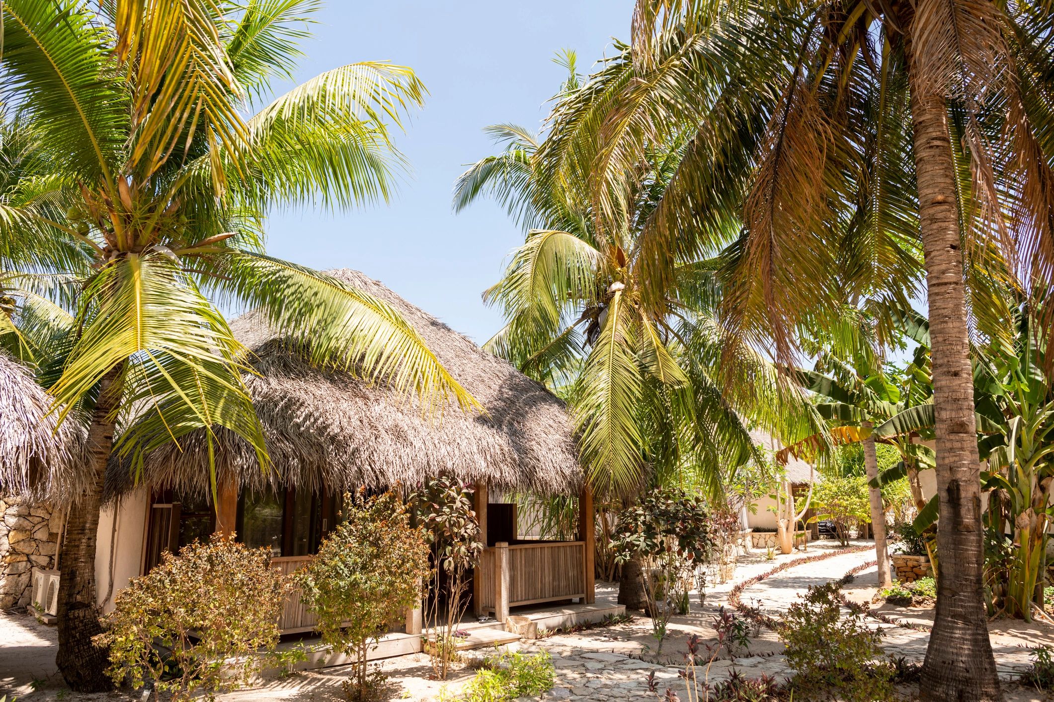 Tropical island resort with palms and hammocks near the beach