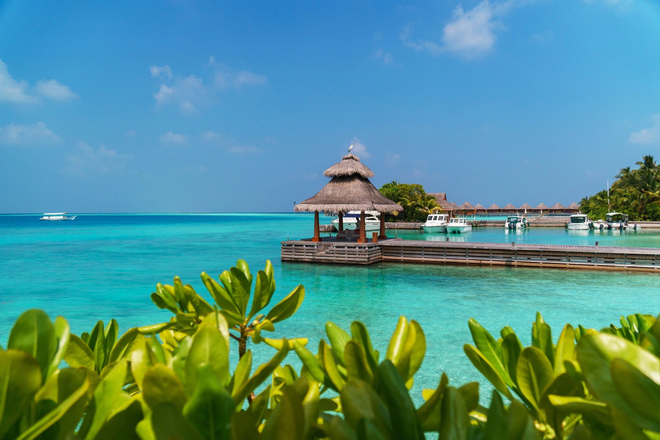 Overwater bungalow for a honeymoon getaway
